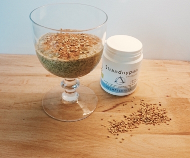 Chiapudding med strandnypon och propolis