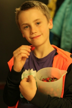 Nyponsoppa-sockerfri